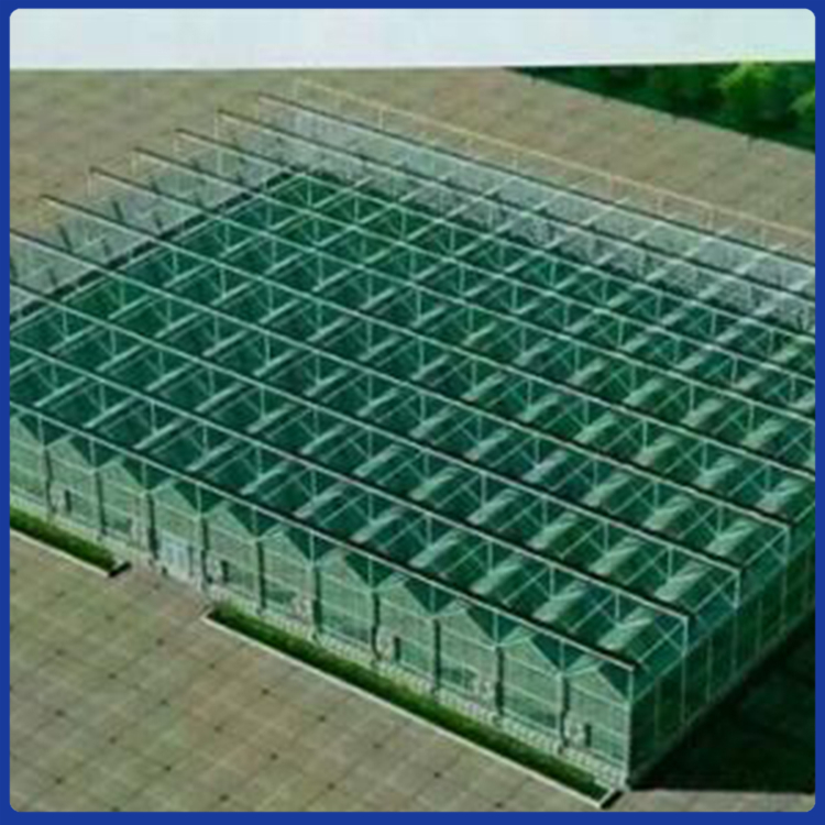 潍坊连栋温室大棚 农业大棚建造 草莓连栋温室