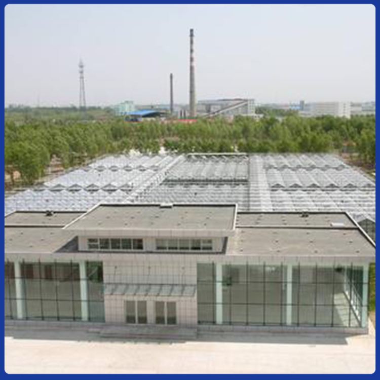 山东新型玻璃温室大棚 玻璃温室骨架材料 玻璃温室使用时间
