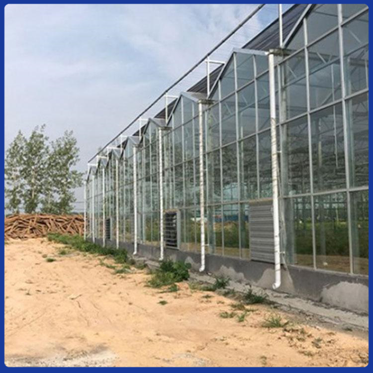 青州花卉日光温室大棚种植 薄膜日光温室大棚建设 节能日光温室大棚承建