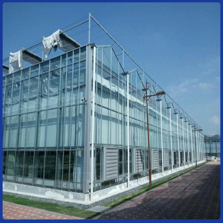 潍坊日光温室大棚 智能蔬菜大棚 日光温室大棚钢架大棚