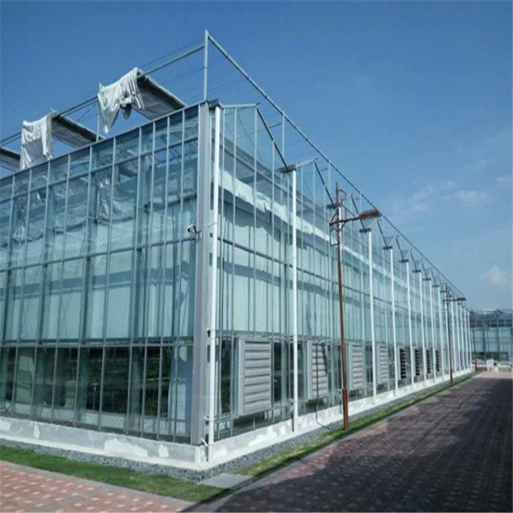 潍坊薄膜日光温室大棚安装 新型日光温室大棚用途 日光薄膜温室大棚