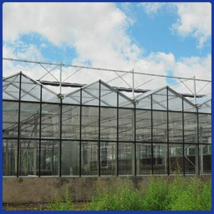 蔬菜种植用薄膜温室大棚建造价格 欢迎致电咨询 龙玺