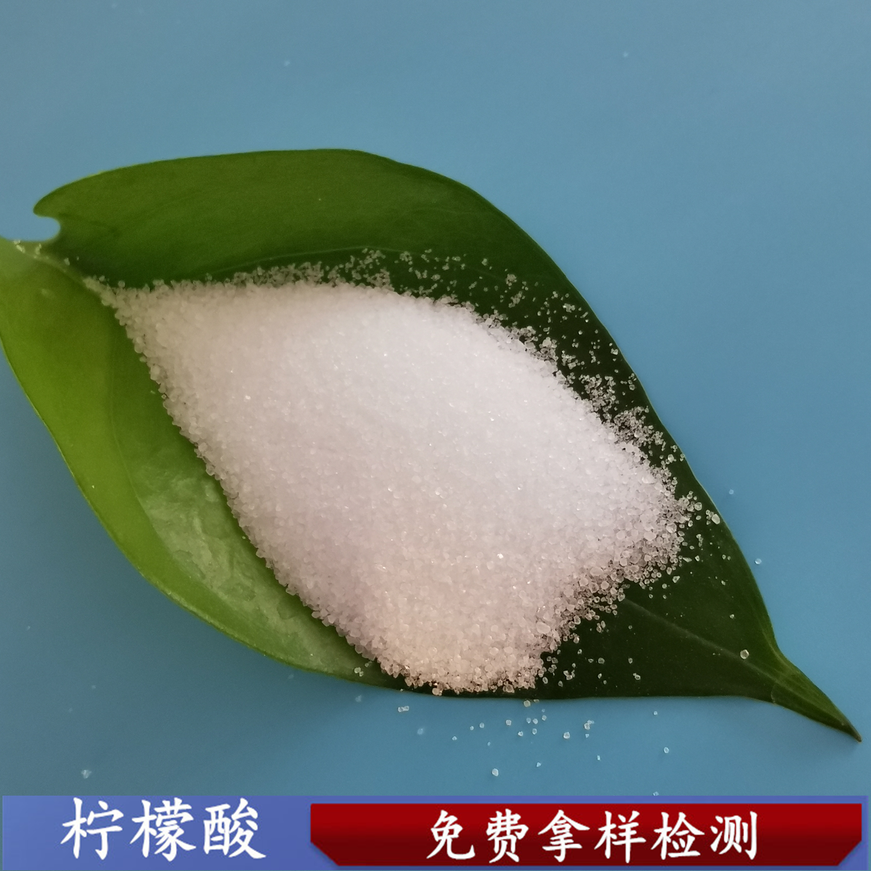 鼎昊现货工业级无水柠檬酸 99高含量水处理用柠檬酸生产批发厂家