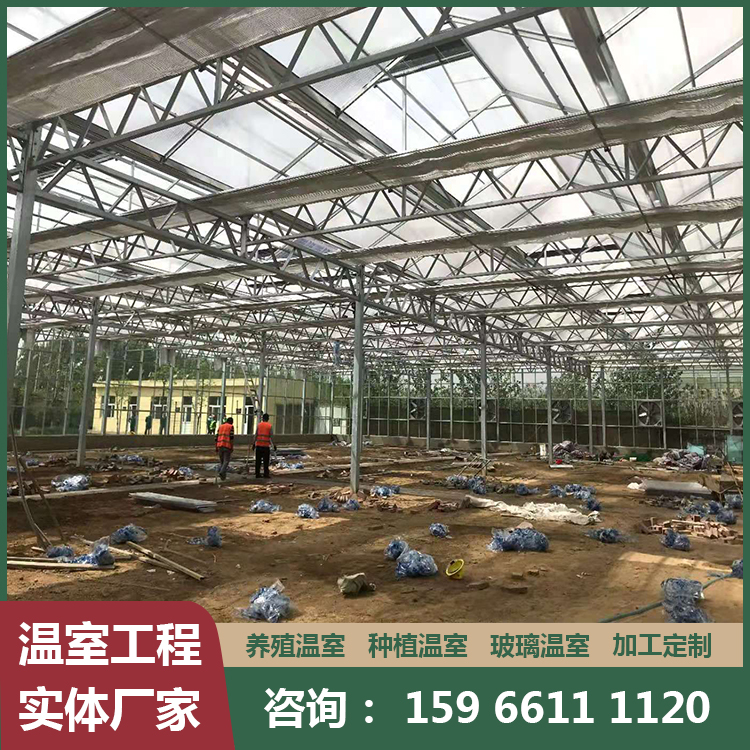 厂家直销 农业种植大棚 智能温室大棚