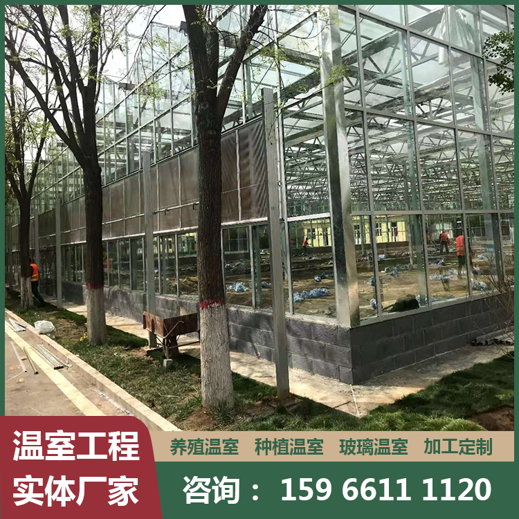 薄膜温室大棚厂家 智能温室连栋薄膜大棚
