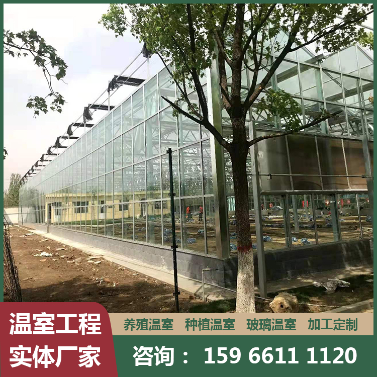 育苗大棚 农业温室大棚骨架规格齐全