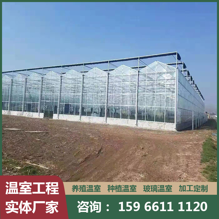玻璃温室蔬菜大棚 农用大棚 四季通用