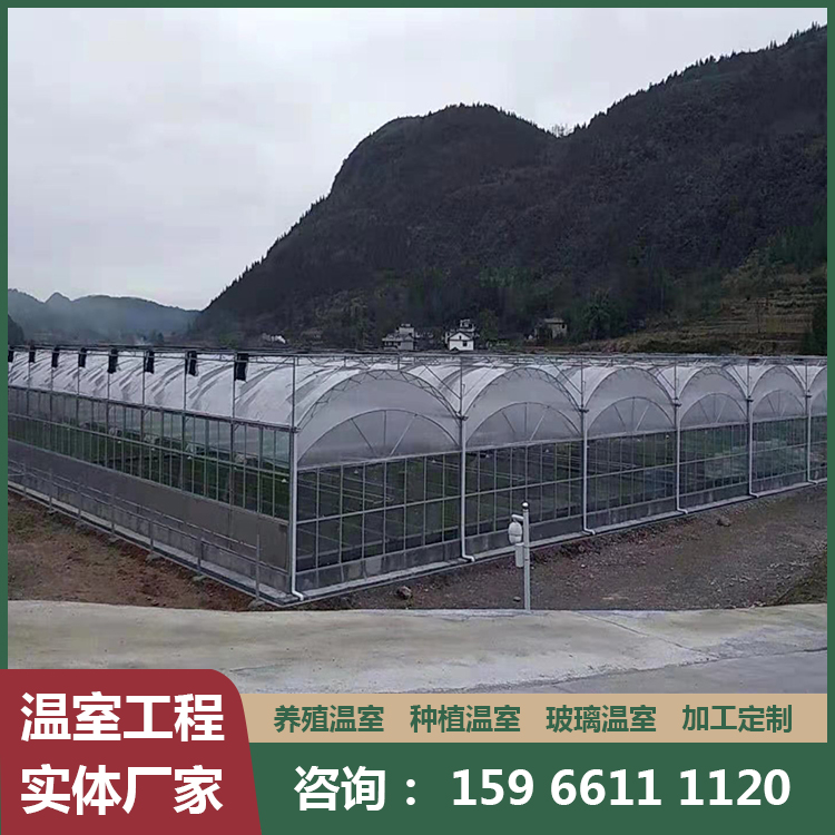 大型连栋式薄膜温室建设 蔬菜大棚