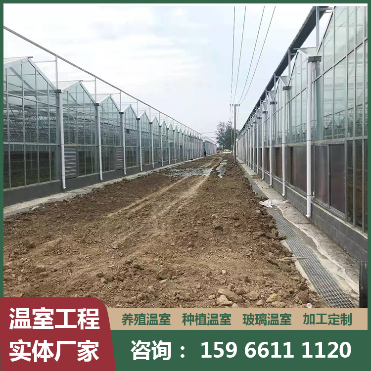 智能花卉温室大棚 花卉大棚建设