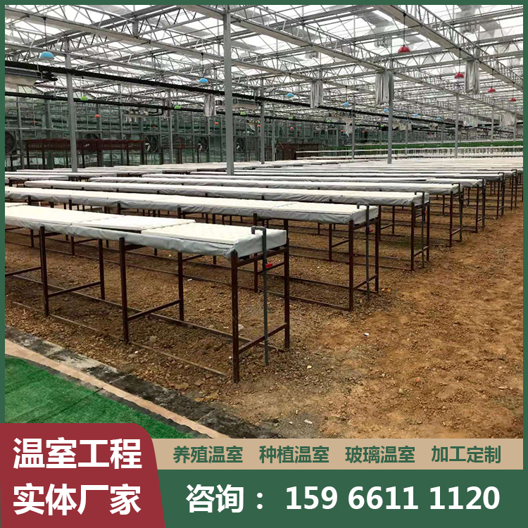 农业供应 单拱式 蔬菜温室大棚建设 设备