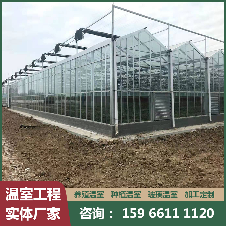 小型玻璃温室大棚  连栋温室工程安装
