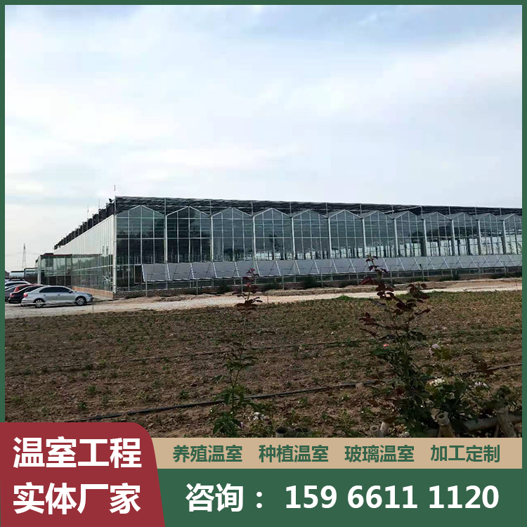 薄膜温室大棚安装 连栋温室大棚定制