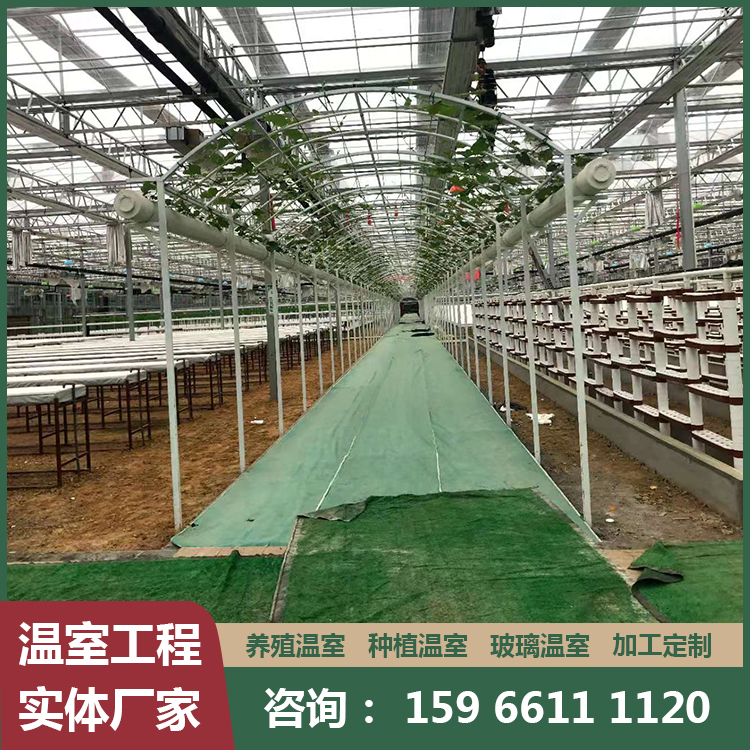 建造玻璃温室大棚 日光蔬菜温室大棚安装