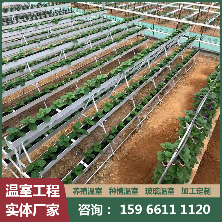 温室连栋温室大棚 蔬菜玻璃工程 大棚骨架