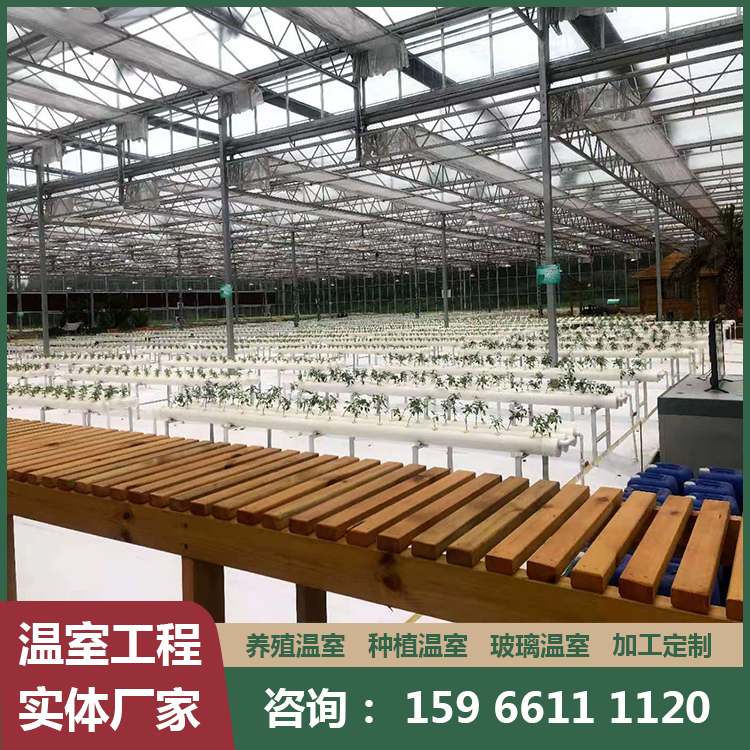 青州农业温室大棚 新型大棚骨架 建造