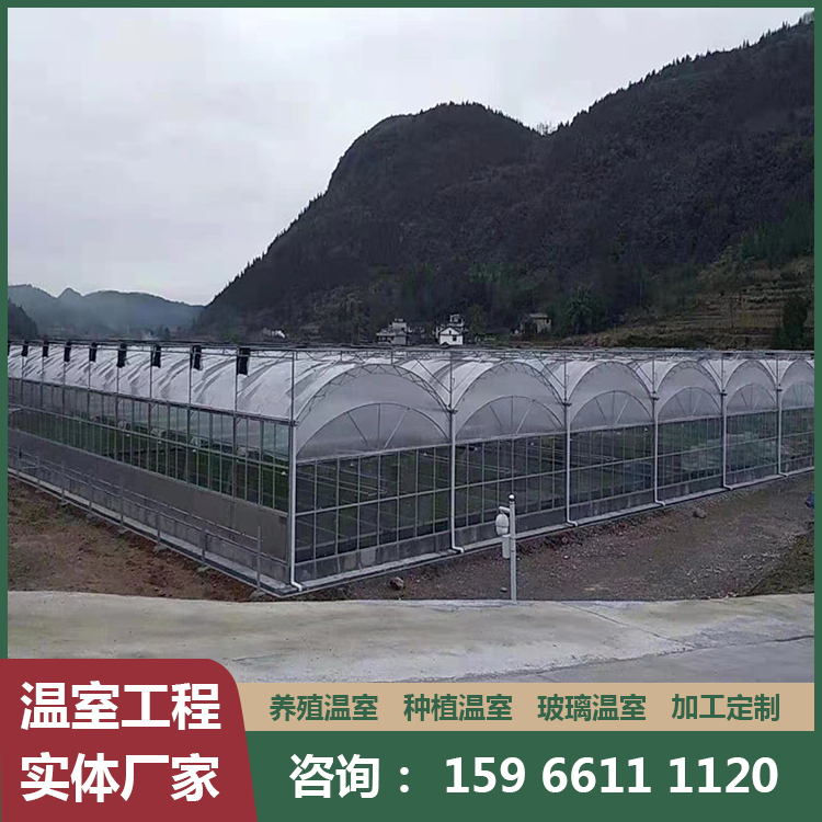 薄膜花卉大棚 山东生产玻璃农业温室