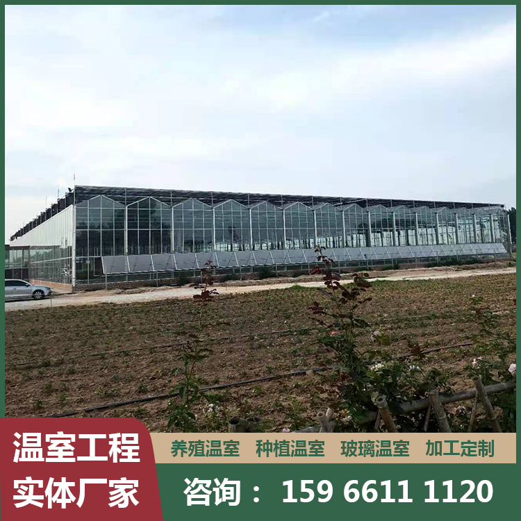 透明薄膜温室 塑料薄膜温室大棚