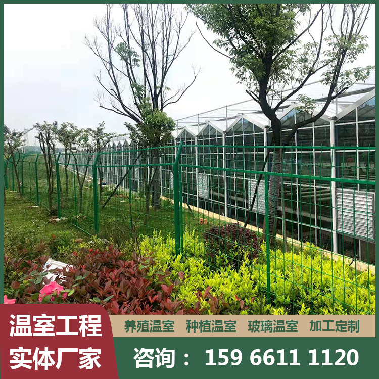 育苗玻璃温室大棚 青州 智能蔬菜种植基地