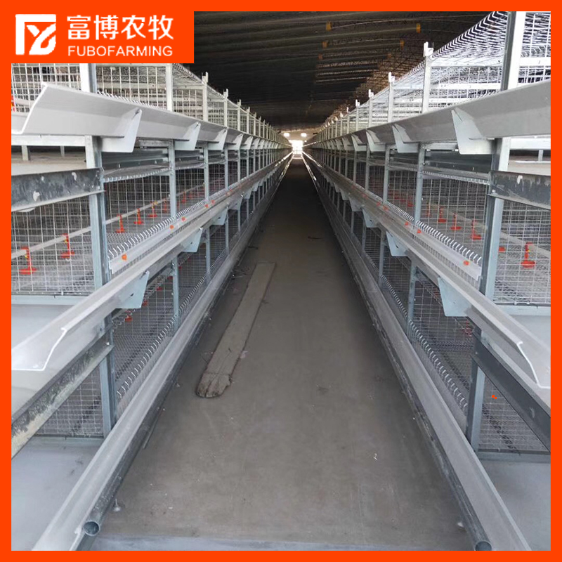 肉鸡笼   养殖鸡鸭喂养设备    养鸡设备 山东富博