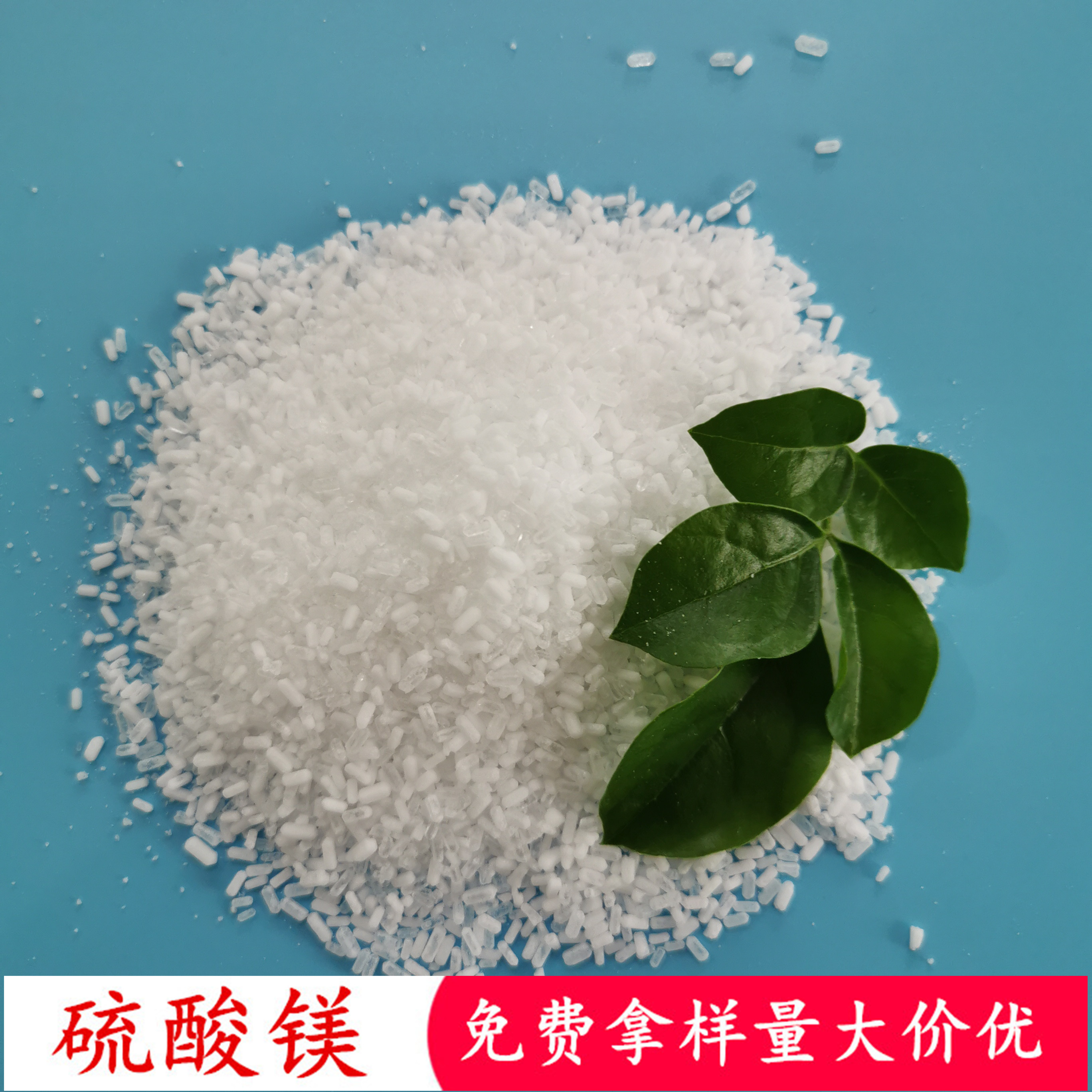 七水硫酸镁 工业级硫酸镁批发厂家 鼎昊现货肥料用硫酸镁