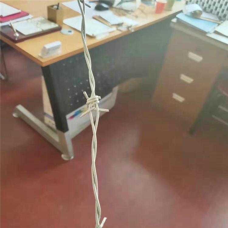  飞腾丝网 监狱防护热镀锌刺绳 刺丝滚笼刀片刺绳 供应定做