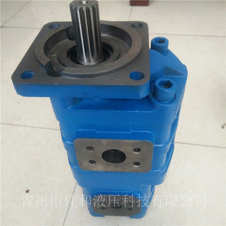 CBGFa2050/K1012-305R 工程机械双联液压泵供应