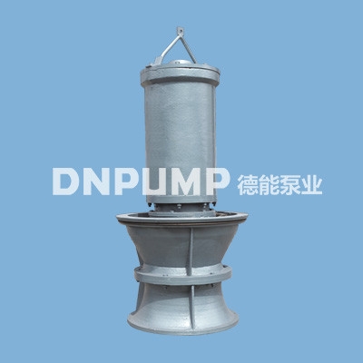 潜水贯流泵制造厂 DN25-DN80
