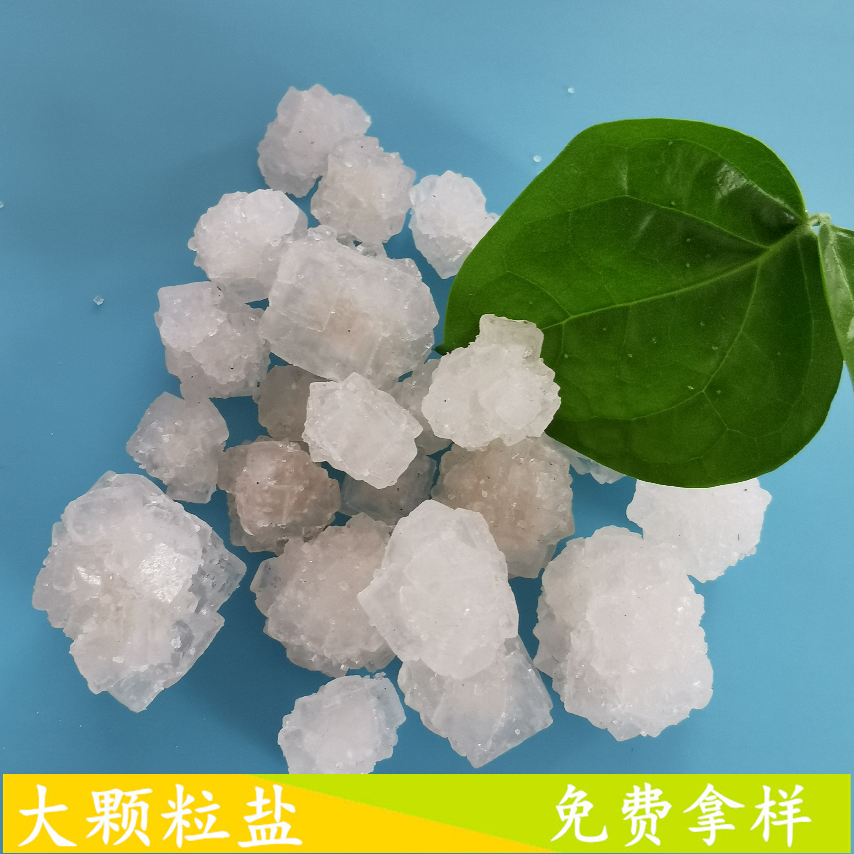 大颗粒盐 鼎昊现货工业大颗粒盐 工业级日晒原盐大颗粒盐