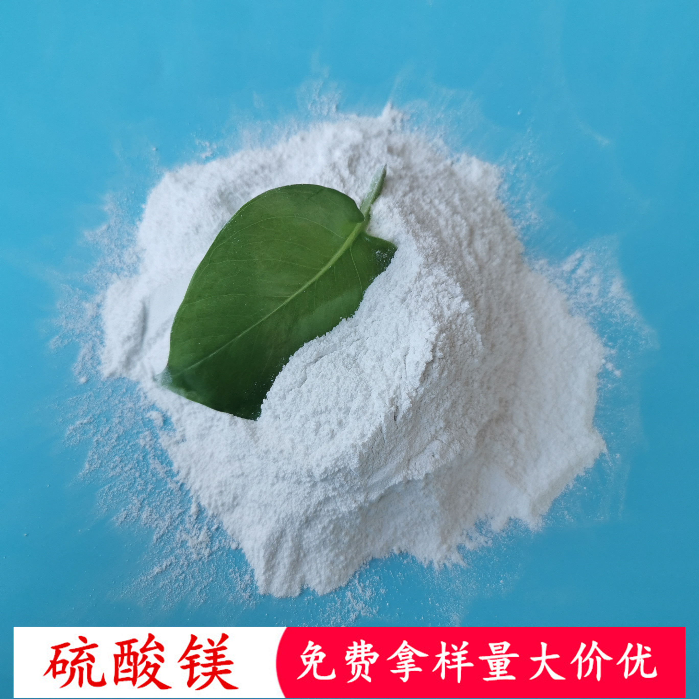 一水硫酸镁粉末 99含量工业级硫酸镁 肥料用硫酸镁批发厂家