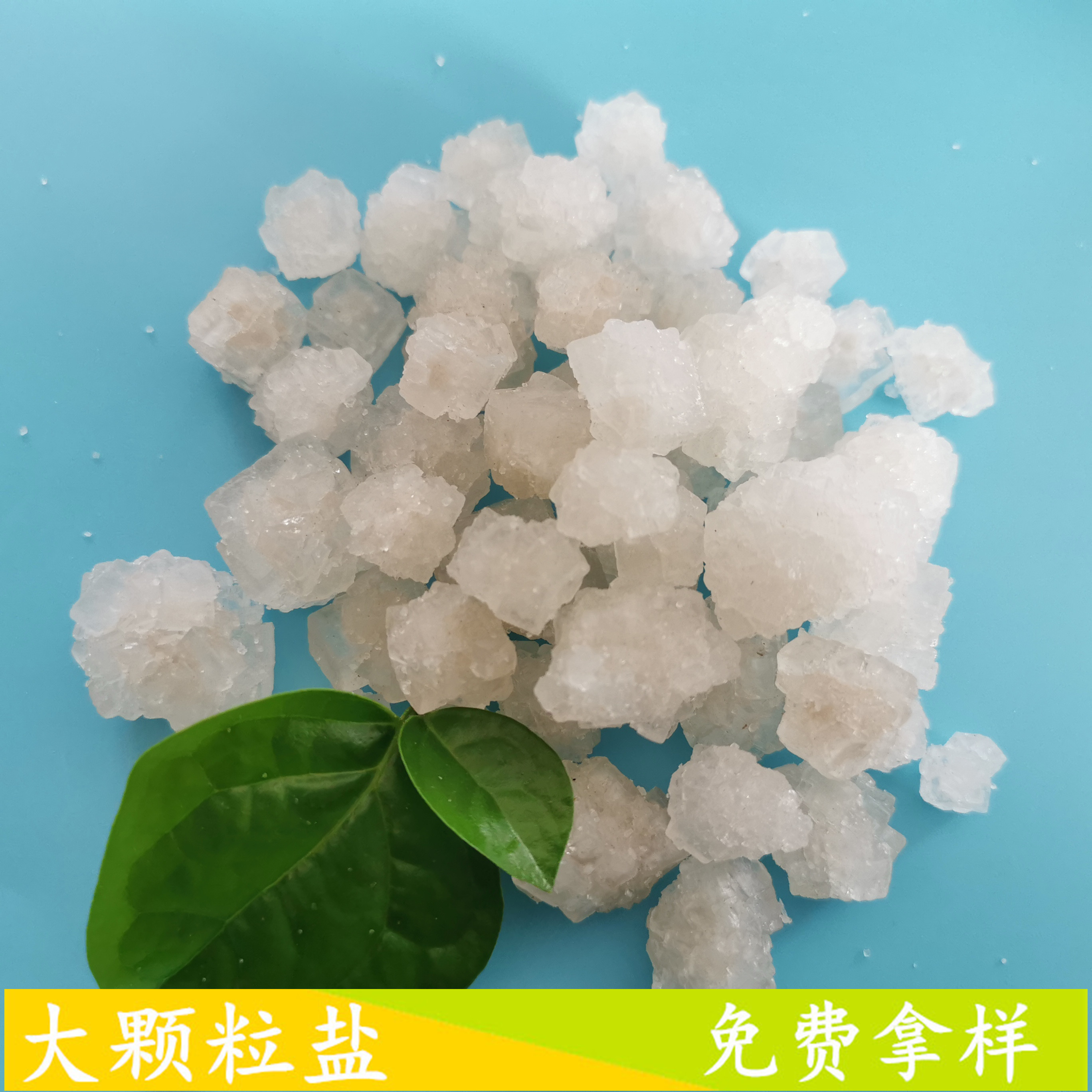 鼎昊现货大颗粒盐 日晒原盐大颗粒盐 工业盐氯化钠批发厂家