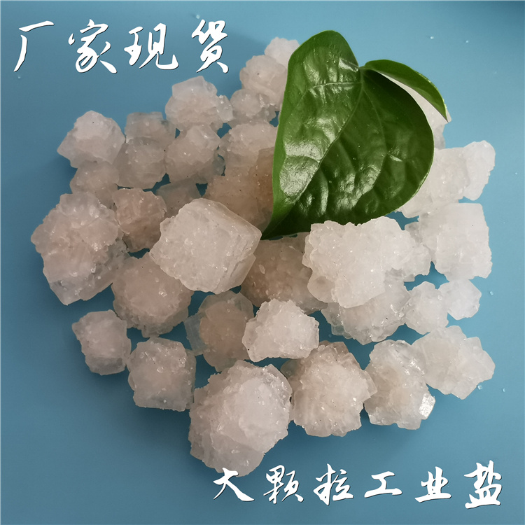 工业级大颗粒盐 工业盐氯化钠 热敷水处理用大颗粒盐现货