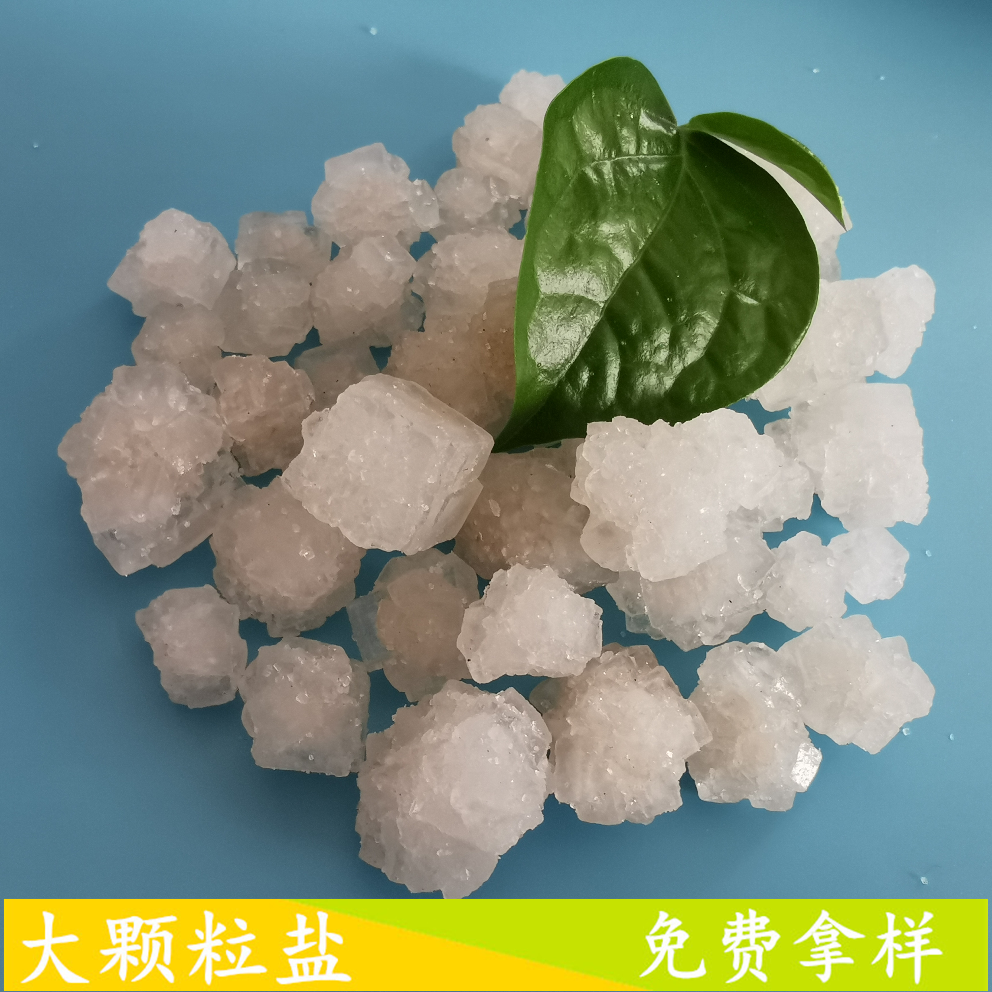 山东现货大颗粒盐 日晒原盐大颗粒盐 工业级大颗粒盐批发厂家