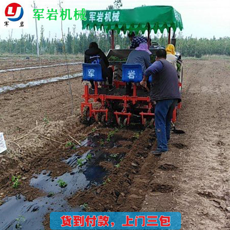 青州蔬菜移栽机 白菜移栽机 操作简便 省时省力