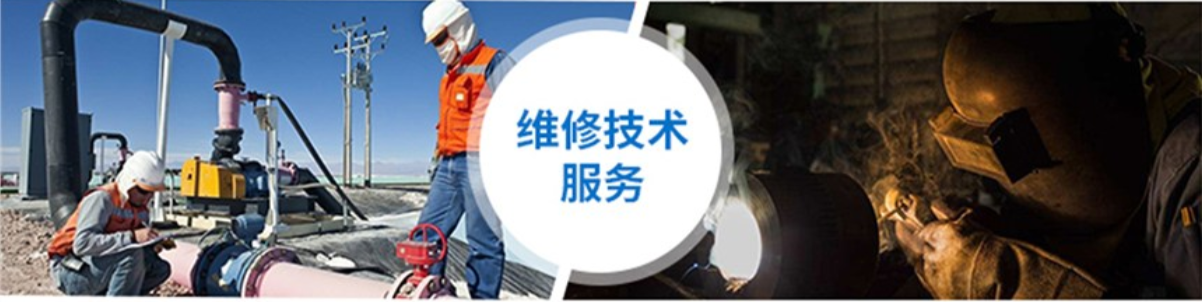 德能泵业(天津)有限公司 主营产品