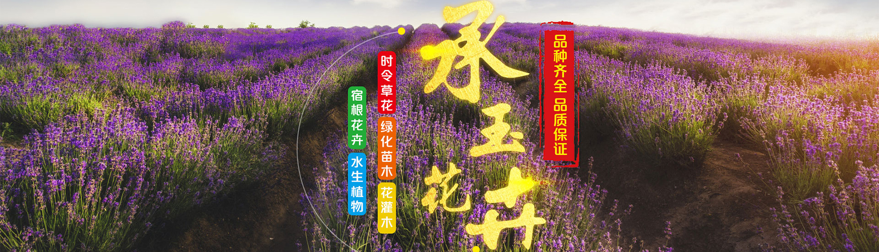 青州市承玉花卉苗木种植专业合作社 主营产品