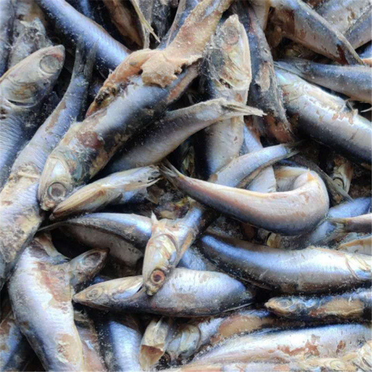 批发销售微生物菌剂深海鱼蛋白  鱼类粗蛋白肥料  欢迎咨询