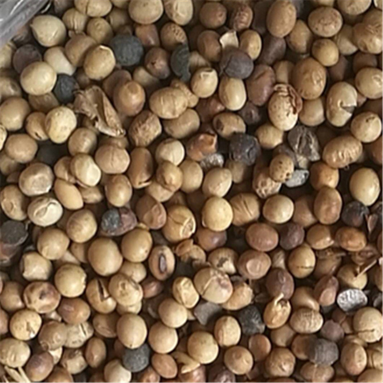 蔬菜大棚用土壤改良剂 港口受损大豆肥料 批发好价