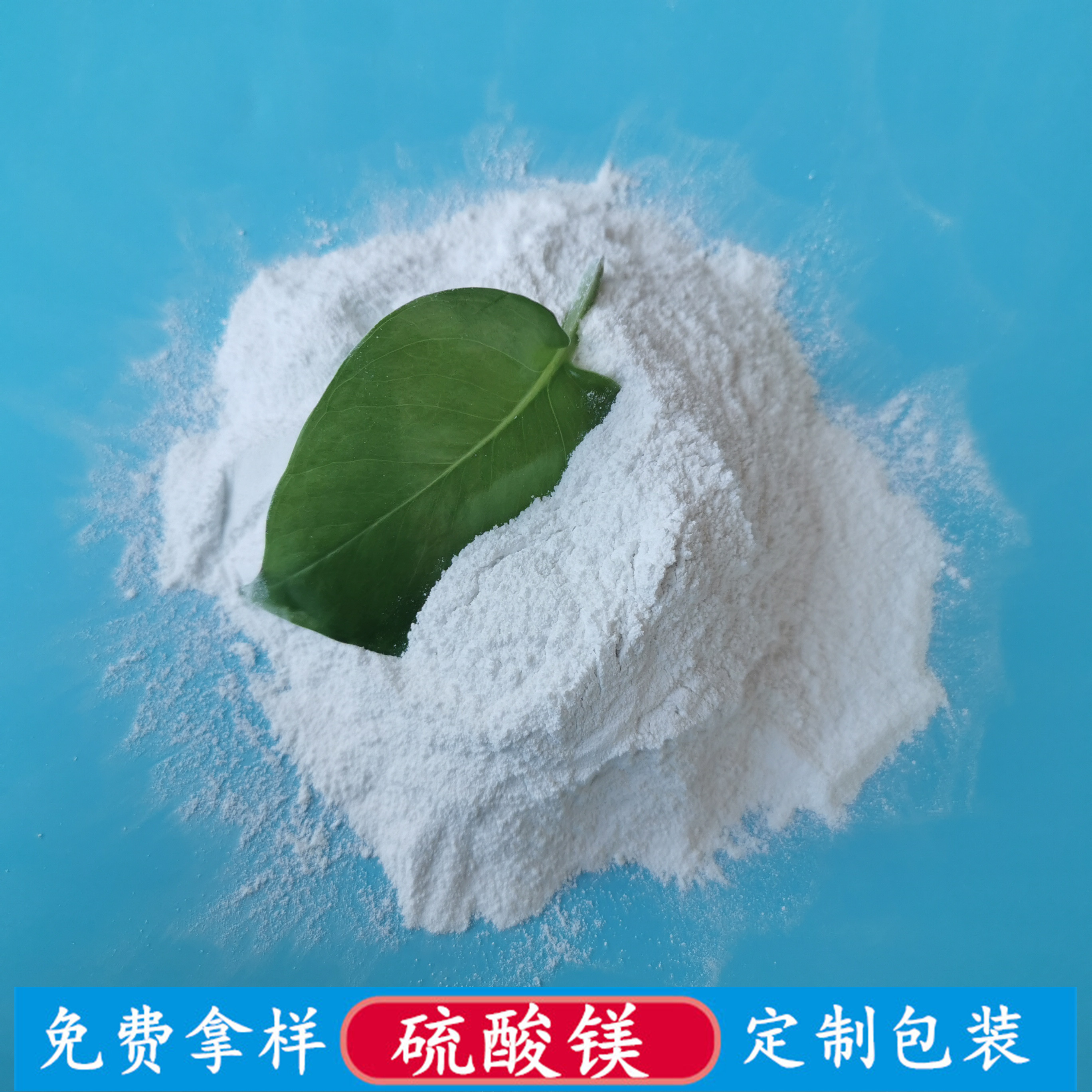 一水硫酸镁 肥料用工业级99含量一水硫酸镁粉末 硫酸镁批发厂家