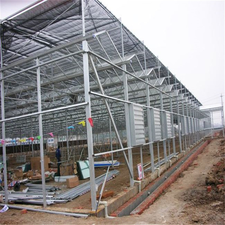 青州玻璃温室厂家 玻璃连栋温室承建 文洛玻璃温室供应 北方温室