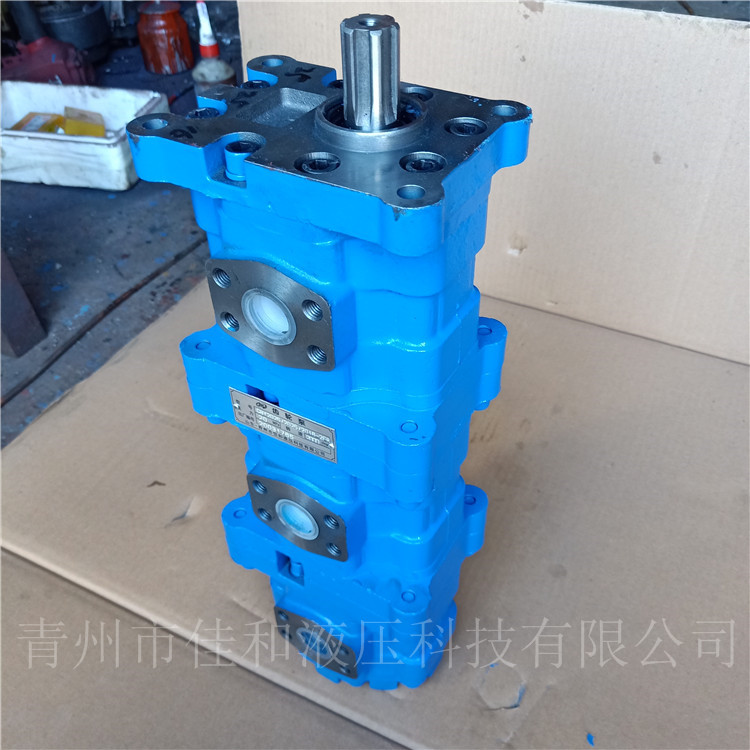 长江三联泵供应 CBY2032/2032/2010-287R