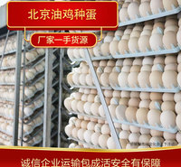 常年供应油鸡蛋 大量北京油鸡蛋个大饱满