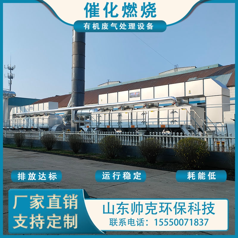 催化燃烧设备RCO 铸造厂喷漆房催化燃烧器 活性炭吸附脱附再生蓄热氧化炉