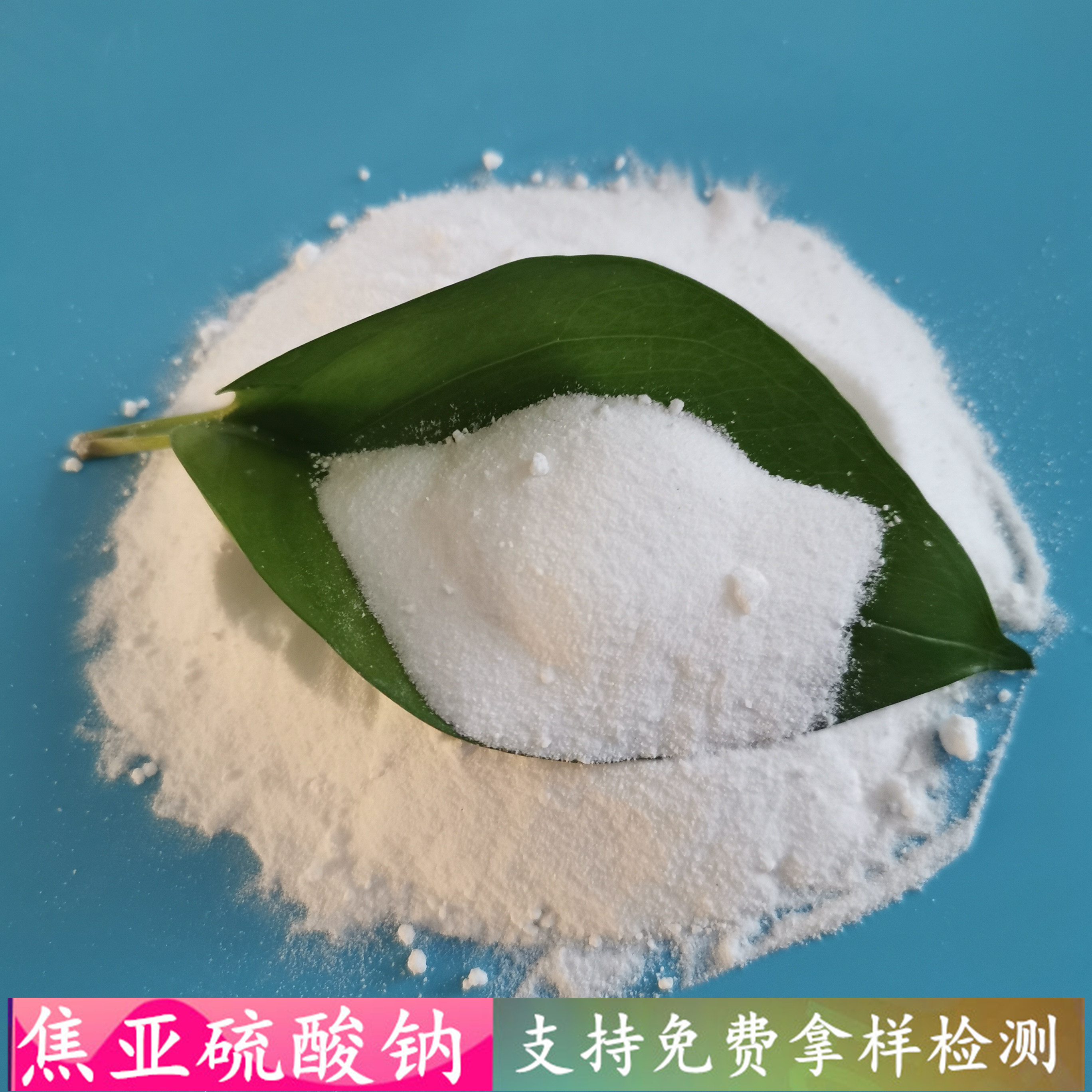 鼎昊现货焦亚硫酸钠 工业级焦亚硫酸钠批发厂家 水处理用焦亚硫酸钠