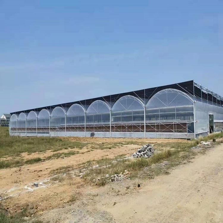 连栋温室设计建造  昌和农业 连栋温室造价