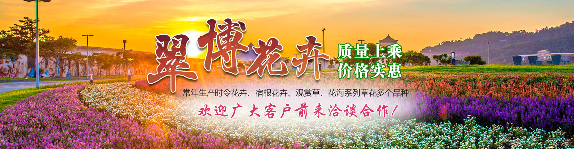 青州翠博花卉苗木有限公司 主营产品
