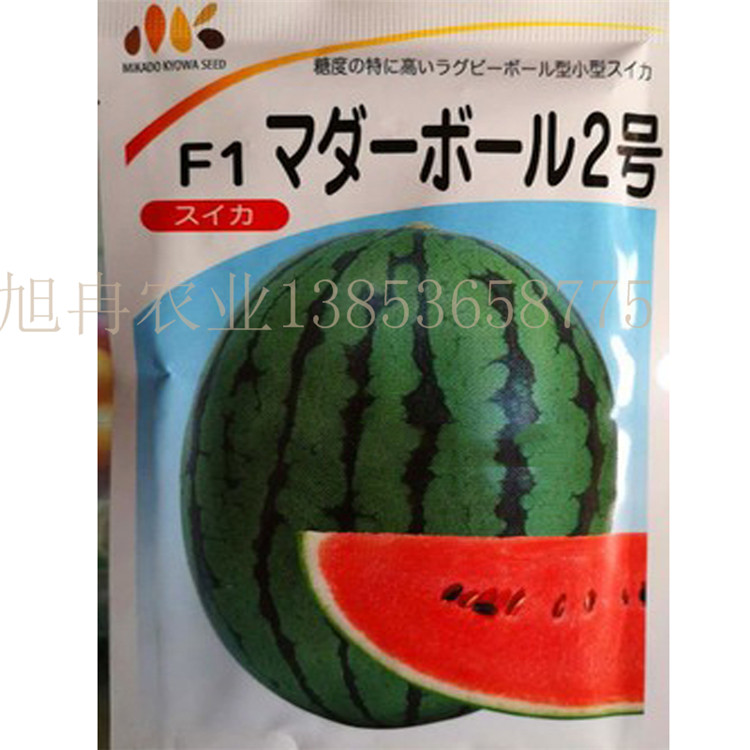 红玉小西瓜种子 西瓜苗 2K4K小西瓜种苗 甜度高口感好品相优 西瓜种批发 旭冉农业