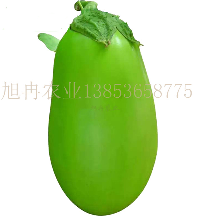 长茄圆茄种子 基地育苗常年有苗 旭冉种业 抗病高产茄子种子
