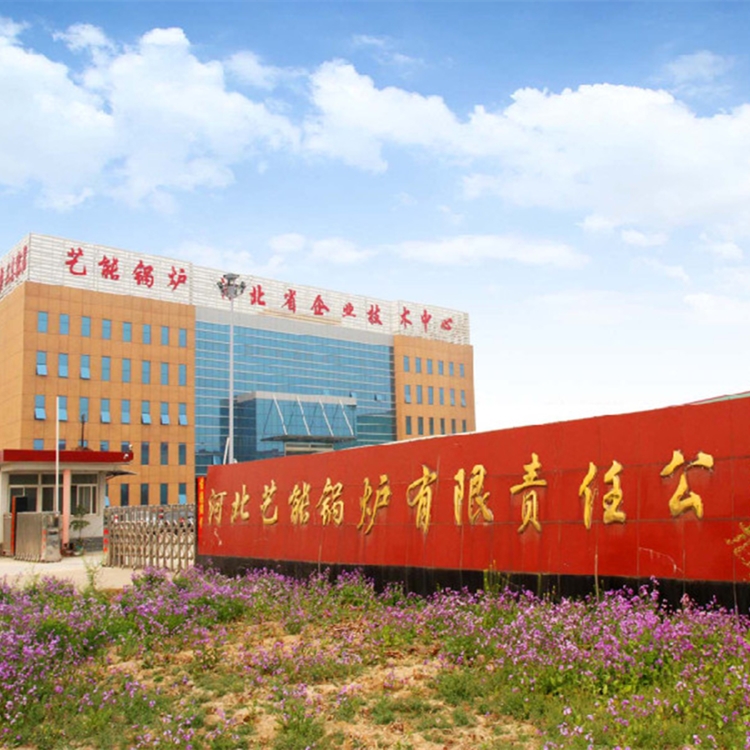 艺能锅炉厂家直销导热油炉 燃气锅炉低氮30毫克 燃气导热油炉厂家