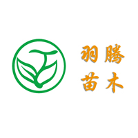 泰安市泰山景区黄前镇羽腾果树苗木繁育中心 标志