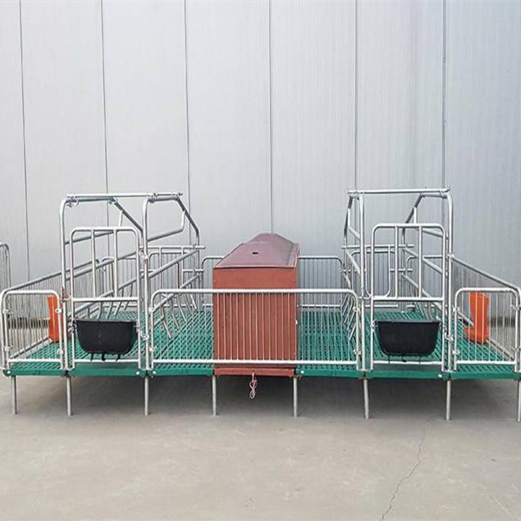 母猪产床 复合母猪产床 双体母猪分娩床